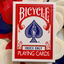 Bicycle Index Only