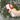 Termómetro digital sem contacto IT-122