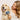 Set d'arranjament per a mascotes Pet Buddy Groom